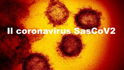 Fig. 1 - Il coronavirus SarsCoV2 visto al microscopio elettronico (fonte: NIAID-RML).