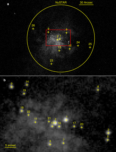 Fig. 4 - Immagine della regione centrale di M82 . All'interno di questa regione, 24 fonti puntuali di raggi X, tra cui X-1 e X-2. Il pannello b mostra una vista allargata della regione centrale. X-2 e' la sorgente ULX scoperta essere una stella di neutroni. Da MediaInaf
