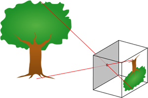 Fig. 2 -  Disegno di una scatola con foro stenopeico e di come viene ricostruita l'immagine. Da Wikipedia