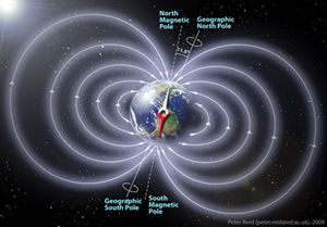 Fig. 2 - La Terra e' avvolta dal campo magnetico da lei stessa generato, e le linee del campo sono concentrate ai poli magnetici, non molto distanti dai poli nord e sud della Terra. Gli elettroni del vento solare sono obbligati a seguire le linee del campo magnetico, che quindi li portano verso i poli. Qui, nell'alta atmosfera, gli elettroni si sontrano con gli atomi di ossigeno e di azoto, riuscendo ad eccitarli.
Come conseguenza, l'atomo si 'riassesta' emettendo un fotone, di colore diverso a seconda se l'atomo eccitato e' di ossigeno o di azoto. 
