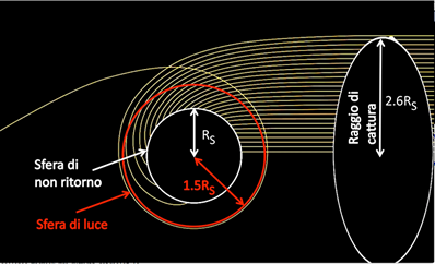 Fig. 6 - Questa figura cerca di spiegare a che cosa corrisponde la zona scura che vediamo nella foto del buco nero. Una torcia manda della luce verso il buco nero. Se la luce, la cui traiettoria e' curvata dalla gravita', si avvicina a meno di 2.6 raggi di Schwarzschild, viene catturata dal buco nero.