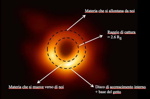Fig. 5 - Ecco a cosa corrisponde la foto del buco nero di M87. La macchia nera centrale corrisponde al �raggio di cattura� della luce. La parte piu' luminosa in basso corrisponde a materia in moto verso di noi, la parte meno luminosa dell�anello corrisponde a materia che si allontana.