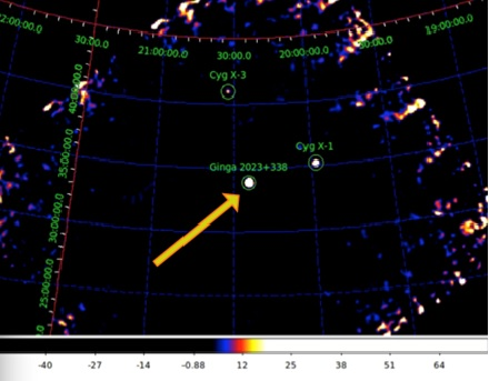 Fig. 2 - La zona di cielo con la sorgente GS 2023+338 indicata dalla freccia gialla.