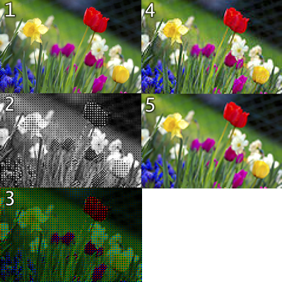Fig. 5 -  1) Immagine originale - 2) Immagine utilizzando un filtro di Bayer con un sensore di 120x80 pixel - 3) Immagine utilizzando un filtro a colori - 4) Immagine in cui l'informazione mancante sui colori viene ottenuta per interpolazione - Per paragone immagine RGB - 120x80 pixel - (per esempio immagine da scansione di una pellicola). Crediti Wikipedia.