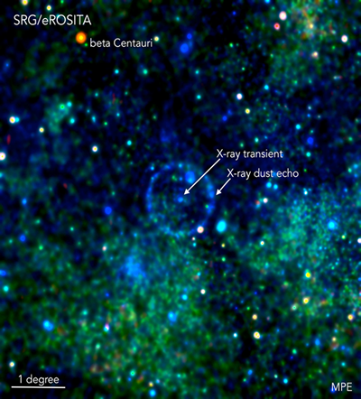 Fig. 6 - Il cerchio blu al centro di questa immagine e' stato prodotto dalla riflessione di un lampo di raggi X prodotto dalla materia che cade in un buco nero. Infatti, un anno prima del lancio di eRosita, un altro telescopio X aveva osservato un aumento improvviso dell'emissione da questa sorgente (indicata come X-ray transient in figura). Questi raggi X hanno raggiunto una nube di gas, che li ha riflessi verso di noi, producendo l'anello che vediamo: una eco dello scoppio.
Credito: Georg Lamer (Leibniz-Institut fur Astrophysik Potsdam), Davide Mella.