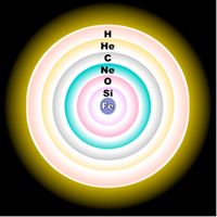 Fig. 3 - Struttura a ''cipolla'' di una stella molto piu' pesante del nostro Sole, poco prima del suo collasso. Il centro contiene nuclei di ferro (Fe), circondati da un guscio di nuclei di silicio, a loro volta circondati da un guscio di ossigeno (O), neon (Ne), carbonio (C), elio (He) e idrogeno (H).