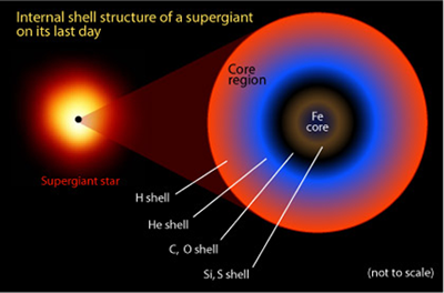 Fig. 4 - Una stella massiccia come appare nel suo ultimo giorno di vita. Attorno al nucleo centrale della stella, che ha la struttura illustrata nella figura precedente, ci sono gli strati esterni (principalmente fatti di idrogeno). Questi strati dapprima precipiteranno verso il centro, e poi rimbalzeranno contro la superficie dura della stella di neutroni, accelerando verso lesterno fino a raggiungere velocita' di qualche migliaio di km al secondo. Nascera' cosi' una Supernova.