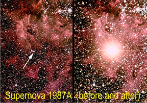 Fig. 6 - L'unica supernova scoppiata in tempi recenti vicino alla nostra Galassia. Era il 23 Febbraio 1987. Le due fotografie fanno vedere l'improvviso aumento del flusso.