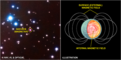 Fig. 1 - A sinistra: sovrapposizione di dati X, ottici e infrarossi (in rosso, verde e blu). Al centro in rosa la magnetar SGR 0418+5729. - A destra: immagine artistica della magnetar dove si evidenzia il campo magnetico esterno debole. Crediti Chandra