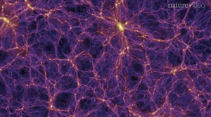 Fig. 1 - L'Universo e' filamentoso, un po' come una spugna. Le galassie tendono a raggrupparsi in ammassi, e questi in super-ammassi. Tra l'uno e l'altro, ci sono degli immensi vuoti (zone di centinaia di milioni di anni luce con pochissima materia). Le galassie attorno ai centri piu' luminosi in questa figura, che raffigurano zone molto dense di galassie, sono attratte da questi, e se sono abbastanza vicine andranno un giorno a far parte dell'ammasso centrale.