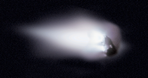 Fig. 3 - Immagine del nucleo della cometa Halley visto dalla sonda Giotto nel 1986. Da APOD  del 4 genmaio 2010.