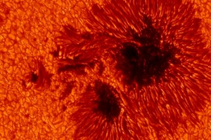 Fig. 1 - Macchie solari riprese dallo Swedish Solar Telescope all'Osservatorio Roque de los Muchachos di La Palma, Spagna. Da MediaInaf