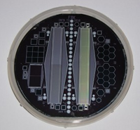 Fig. 4 - Immagine di un Silicon Drift Detectors (SDD), rivelatori di radiazione X di nuova generazione che andranno ad equipaggiare SOFT.