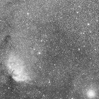 Fig. 1 - Campo stellare contenente Cygnus X-1, il primo sistema binario con un buco nero scoperto più di quarant’anni fa.