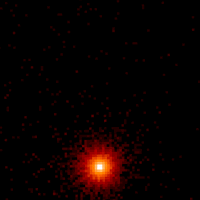Fig. 3 - Stessa regione di cielo della Fig. 1 ma osservata in raggi X (Satellite ROSAT). L’unica sorgente che si vede è il buco nero del sistema binario Cygnus X-1.