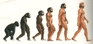 Fig. 5 - Immagine artistica dell’evoluzione umana.