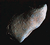 Asteroide Gaspra minor bodies of solar system