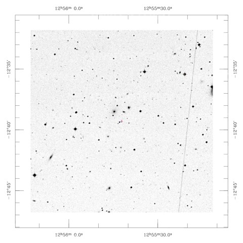 RXCJ1255.7-1239