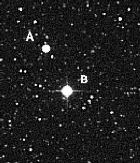 Stelab.jpg (21426 bytes)