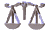 librawht.gif (6256 bytes)