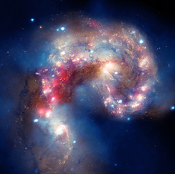 Antennae galaxies - Composite image from the Chandra X-ray Observatory (blue), the Hubble Space Telescope (gold and brown), and the Spitzer Space Telescope (red). Credits: X-ray: NASA/CXC/SAO/J.DePasquale; IR: NASA/JPL-Caltech; Optical: NASA/STScI.