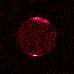 Chandra X-ray image of Jupiter. This image shows concentrations of auroral X-rays near the north and south magnetic poles. Credit: NASA/CXC/SWRI/G.R.Gladstone et al.