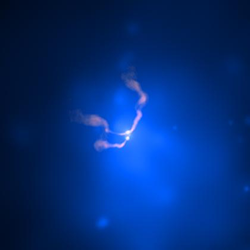 3C75 in the galaxy cluster Abell 400. composite X-ray (blue)/radio (pink) image. Credits: X-ray: NASA/CXC/AIfA/D.Hudson & T.Reiprich et al.; Radio: NRAO/VLA/NRL.